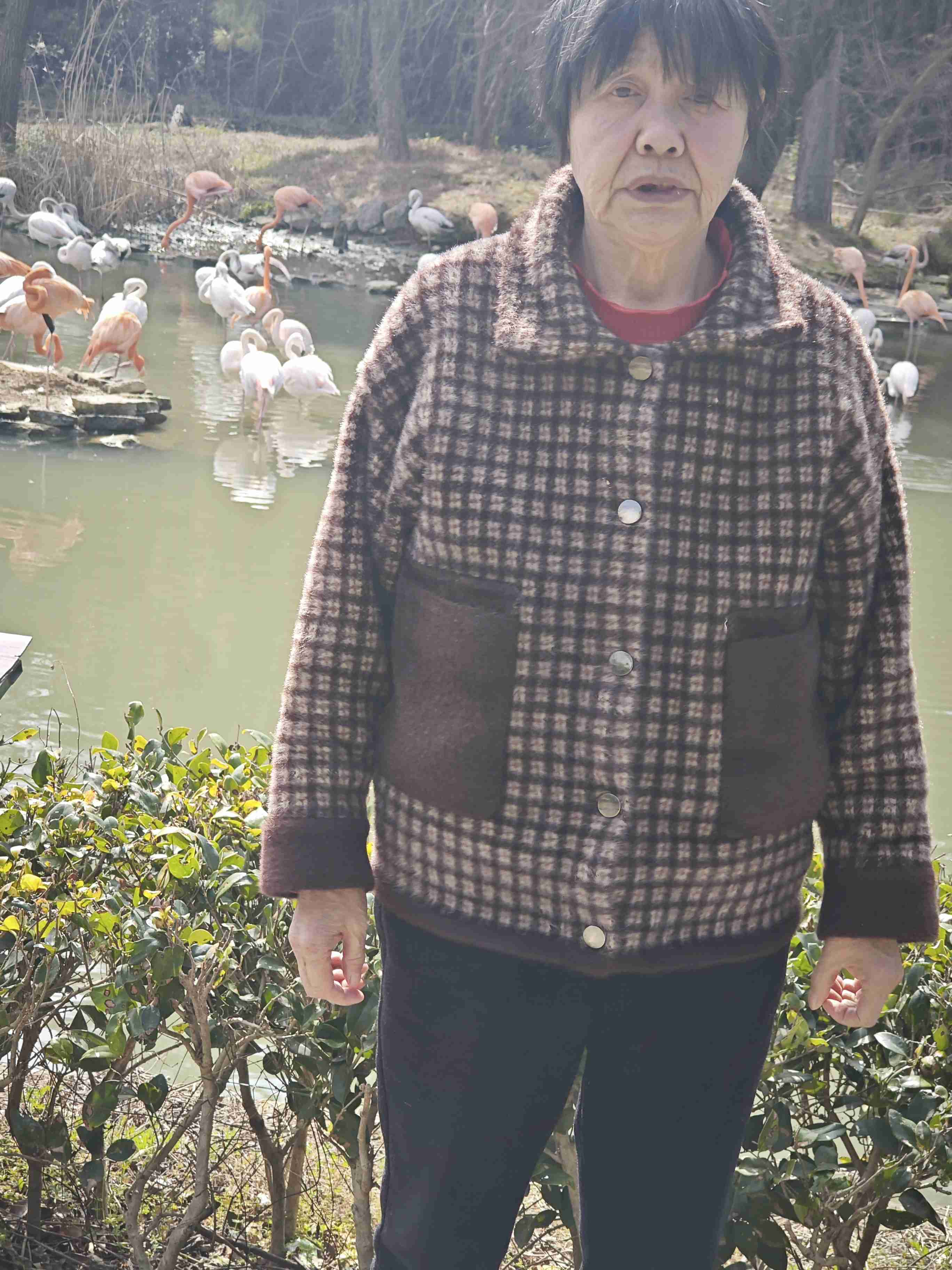 段小梅