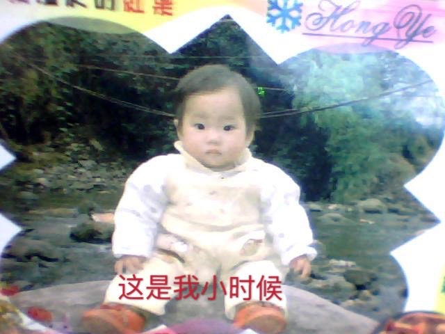 范金燕