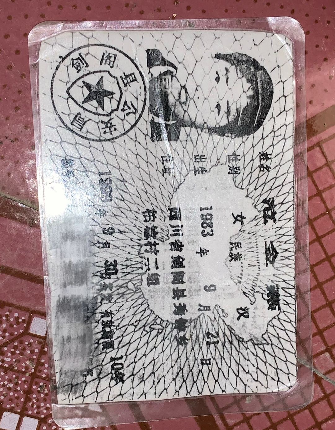 范金燕