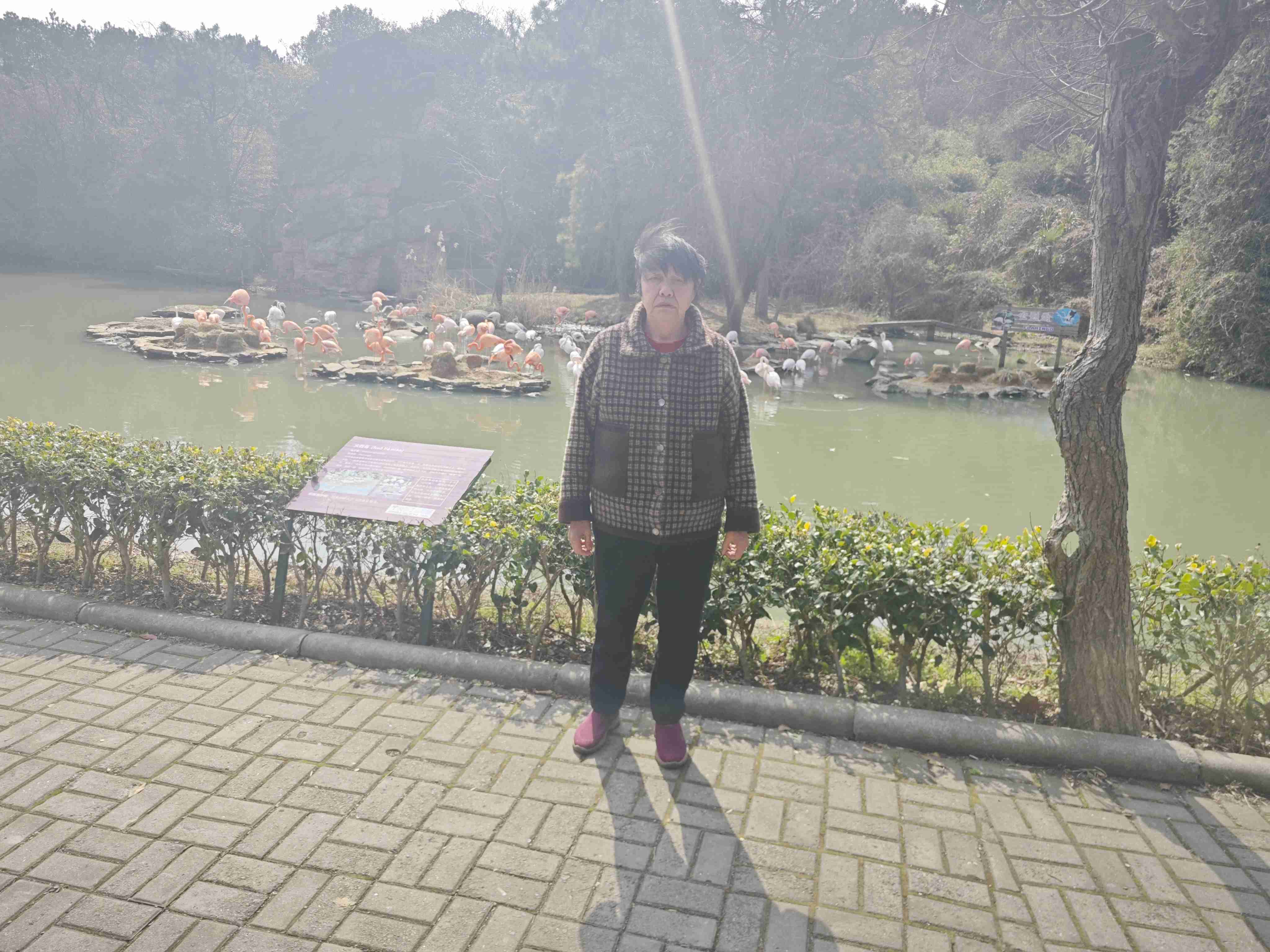段小梅