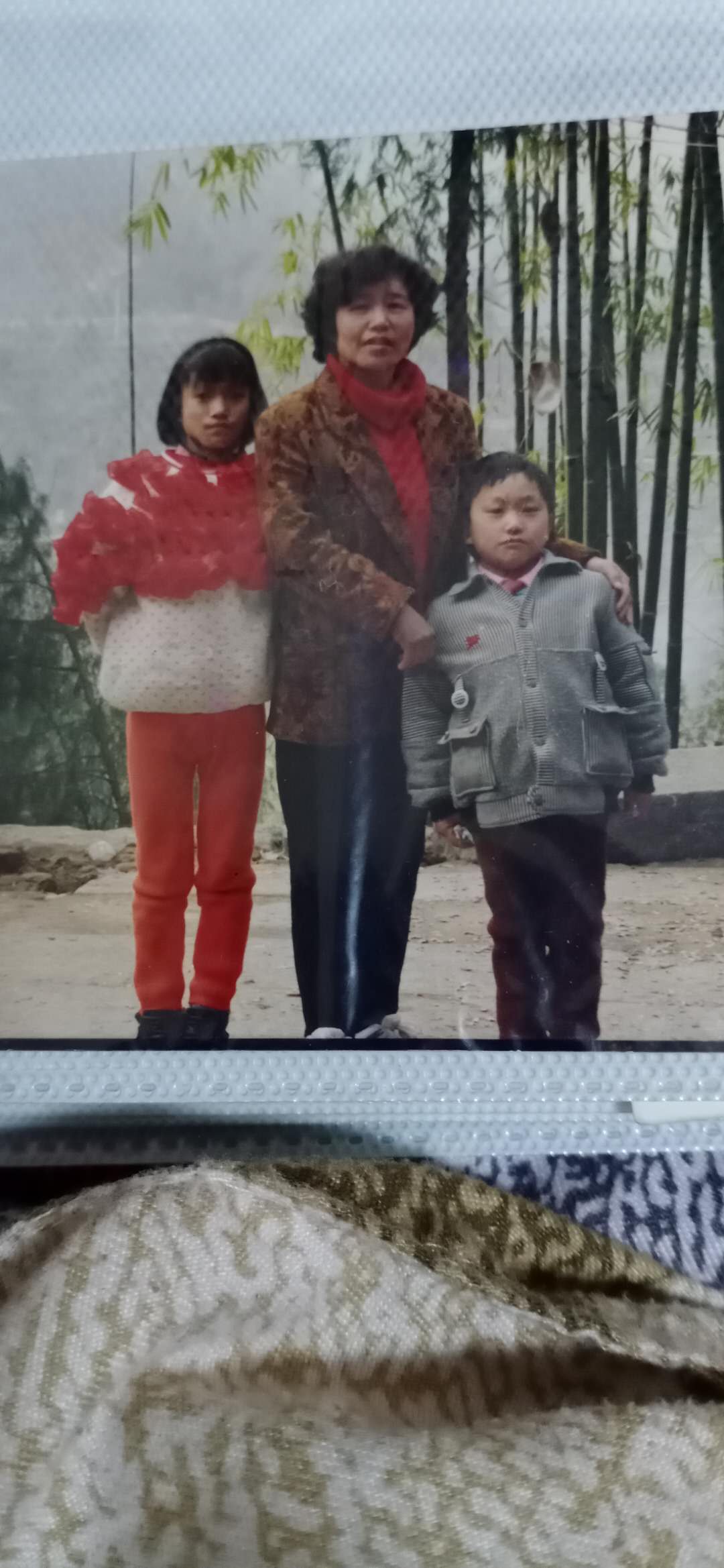 弋陈 弋波