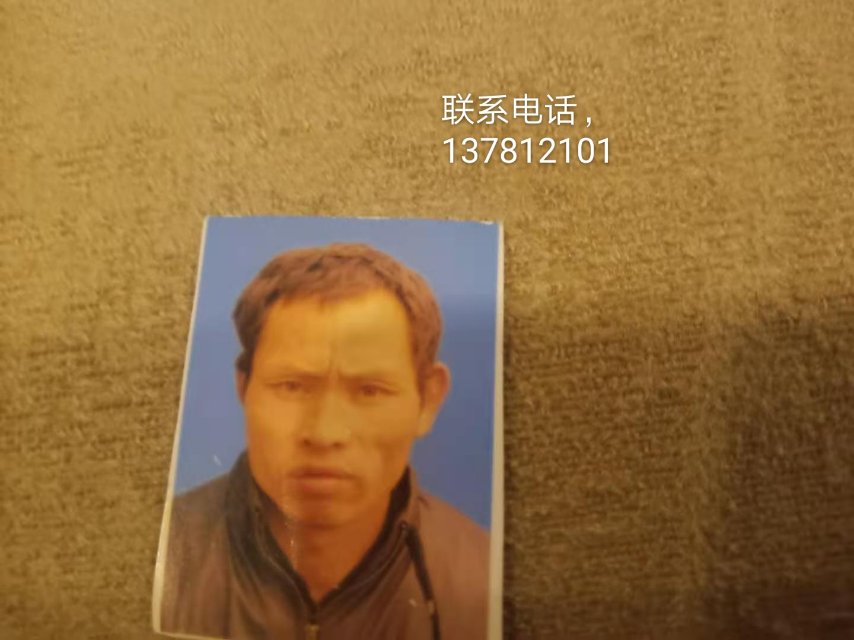 康脑