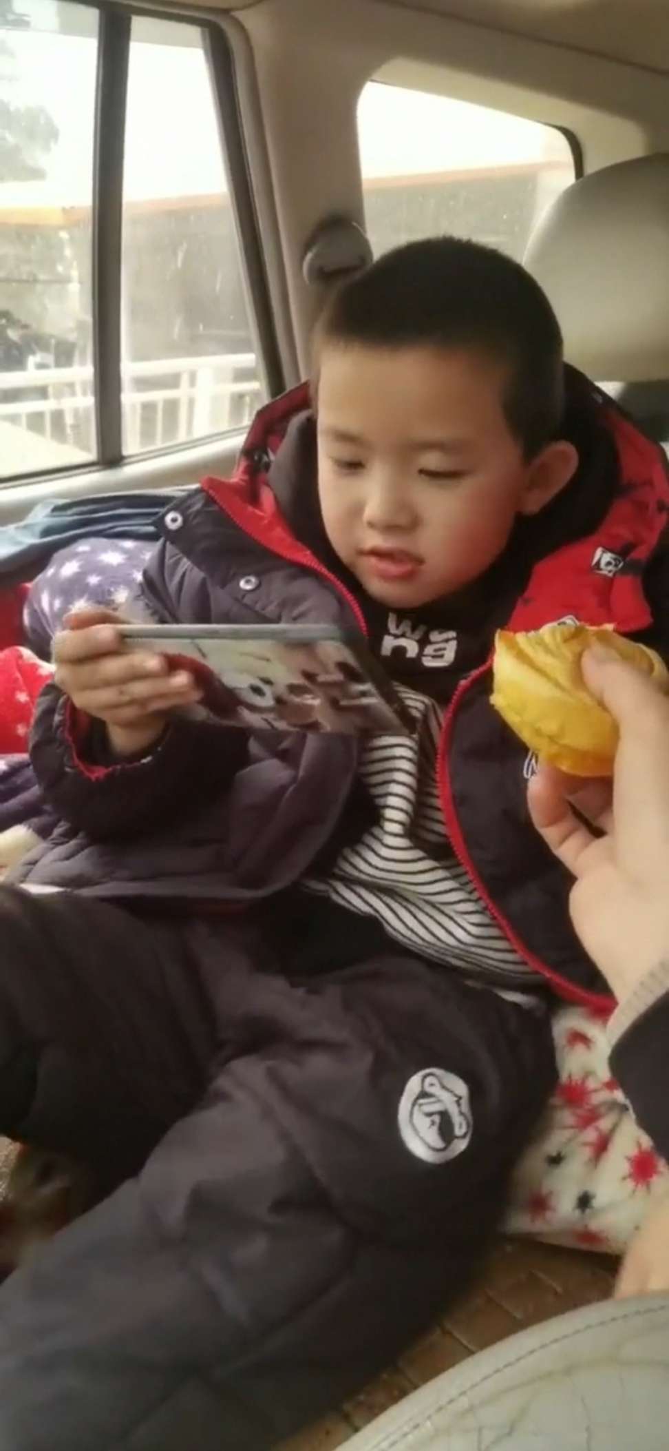 苏柏豪