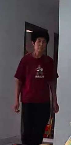 王占头